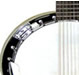 banjos for sale